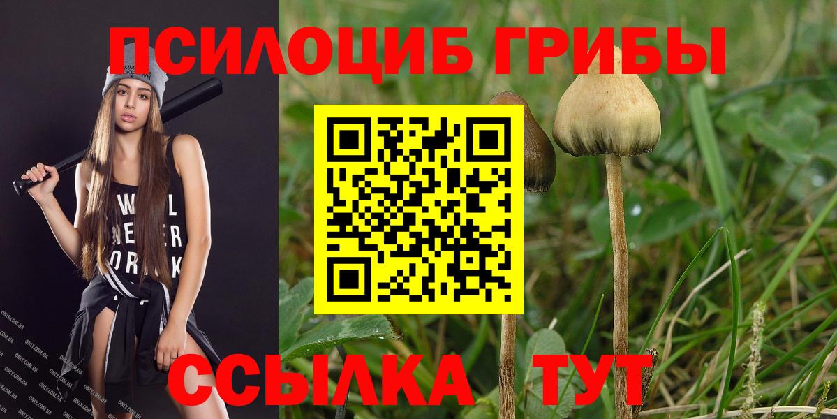 Псилоцибиновые грибы прущие грибы Курчатов