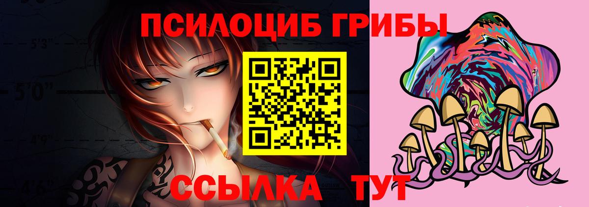 Галлюциногенные грибы Cubensis  Вход с VPN  Галлюциногенные грибы Cubensis  Курчатов 